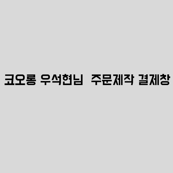 코오롱 우석현님  주문제작 결제창-A